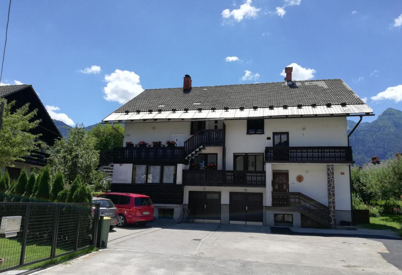 Apartma Vojvoda Apartment