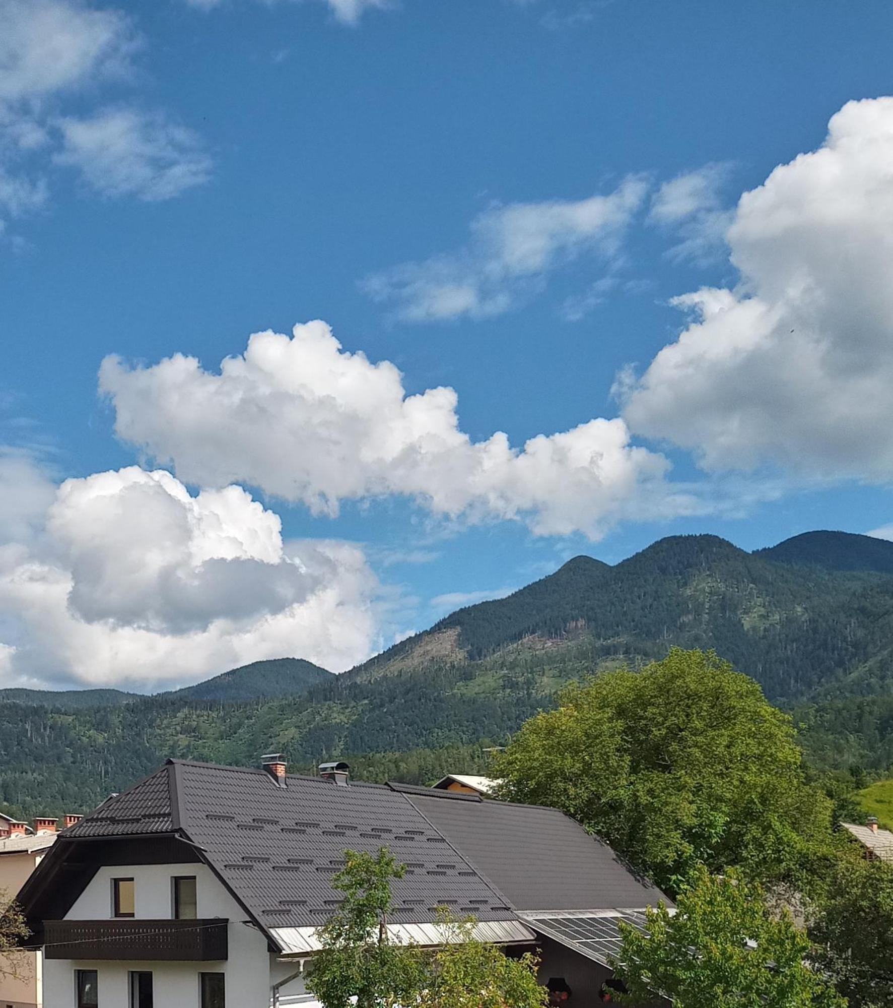Apartma Vojvoda Bohinj