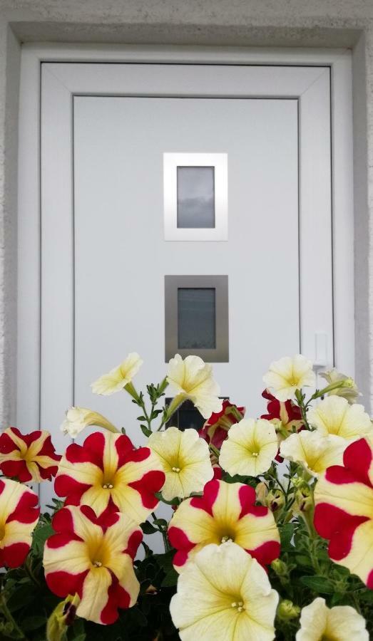 Apartma Vojvoda Apartman