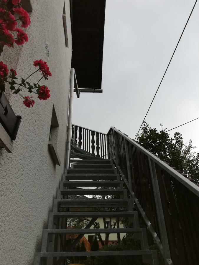 Apartma Vojvoda Apartment *